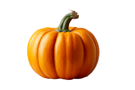 Bright orange pumpkin with accentuated texture