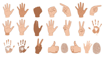 Diverse hands and fingerprints showcase communication, gestures, and unique identity