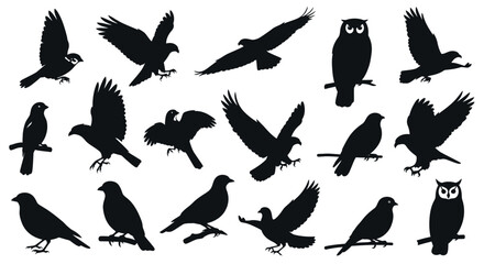 Graceful bird silhouettes capturing flight, perching, and soaring in dynamic poses