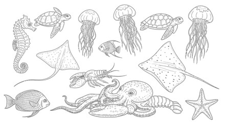 Vibrant collection of detailed black and white sea creatures for educational or decorative use