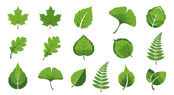 Beautiful collection of diverse green leaf icons perfect for nature-inspired designs and eco-friendly marketing materials