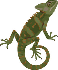 Vibrant anole lizard illustration with detailed scales and natural colors