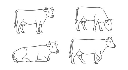 Four simple line art cows depicted standing, grazing, and resting on a white background