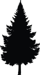 Full & Symmetrical Pine Tree Silhouette Design