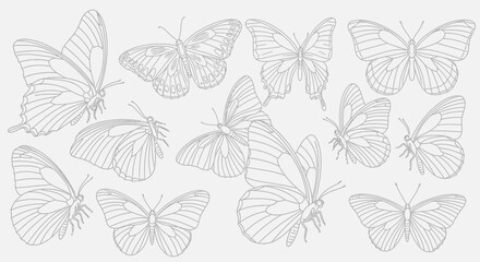 Elegant line art collection of diverse butterflies, perfect for design and natural beauty projects