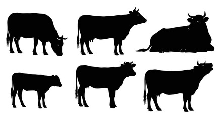 Diverse black cow silhouettes showcase grazing, standing, and resting farm animals for agricultural concepts.