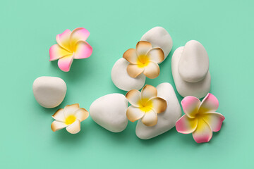 Beautiful plumeria flowers with stones on turquoise background