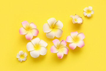 Beautiful plumeria flowers on yellow background
