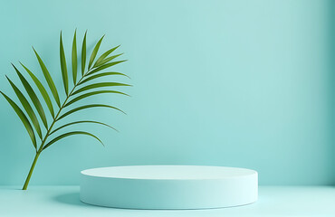 minimalist podium aqua linen backdrop single palm sprig spacious