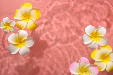 Beautiful plumeria flowers in water on pink background