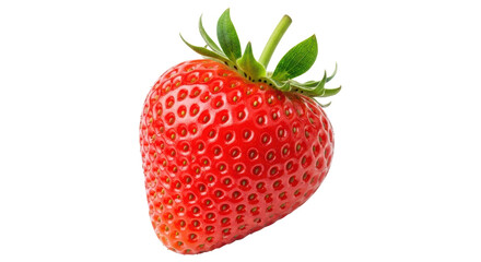 Isolated Single Fresh Strawberry