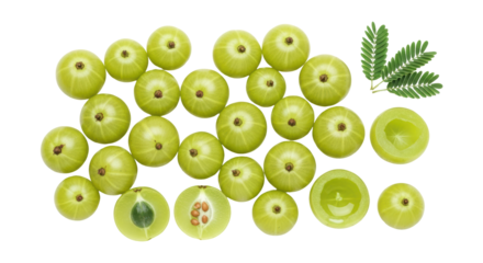 Isolated Phyllanthus Emblica