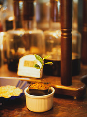 coffee beans and cinnamon