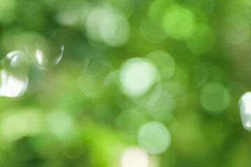 Obraz premium 春・夏 キラキラ光り輝く さわやかな森の木の葉新緑の光の丸ボケ 自然の背景 アウトドア・太陽の日差し 