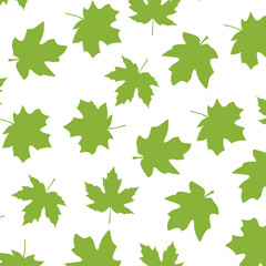 Maple Leaf Seamless Pattern. Botanical Autumn Illustration on Transparent Background. Autumn background design.