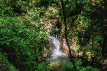 Obraz premium 茨城県北茨城市 新緑の花園渓谷 