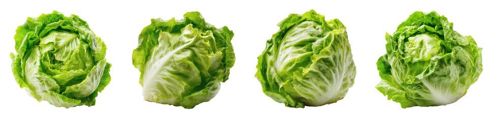 Four Crisp Green Lettuce Heads Isolated on Black Background, Perfect for Healthy Eating and Culinary Inspiration PNG set Transparent backround