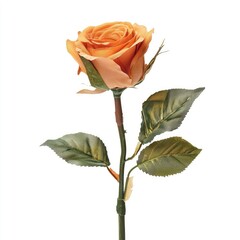 Single peach-orange rose with green leaves on a white background