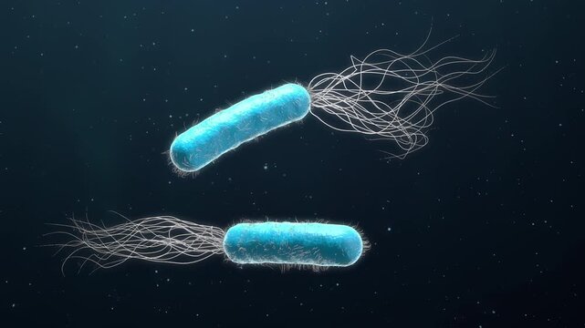 Multiple antibiotic resistant Pseudomonas aeruginosa bacteria - 3d illustration
