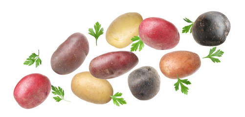 Different types of fresh potatoes with parsley flying on white background