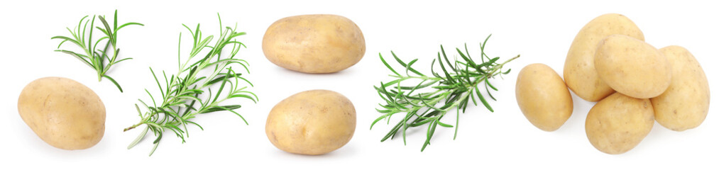 Fresh raw potatoes and rosemary isolated on white, collage