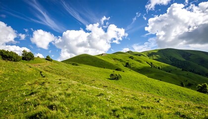 Fototapeta premium Rolling Green Hills Under a Bright Blue Sky with Nature Landscape Beauty, and Summer Day.