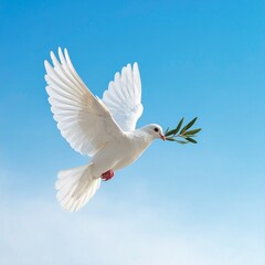 Fototapeta premium A background featuring a white dove carrying an olive branch against a blue sky with white gradients. A classic symbol of peace, perfect for the International Day of Peace theme.