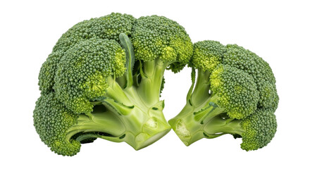 Isolated Two Heads of Fresh Broccoli