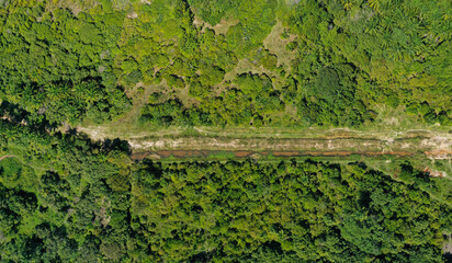 Trail with puddles of water in the forest