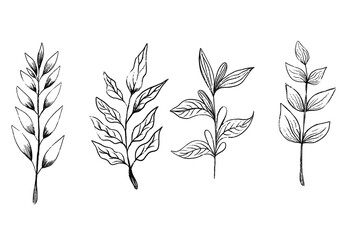Botanical Line Art Set of Hand-Drawn Floral Elements Vector. Simple Black and White Leaf and Plant Illustrations for Organic, Nature-Inspired Designs.
