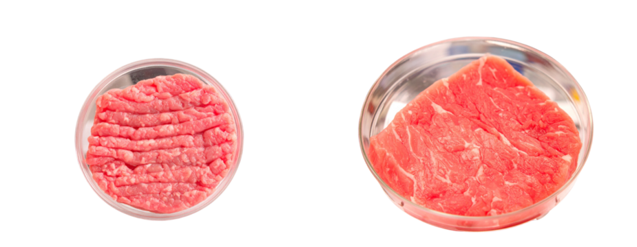 Artificial Cultured Meat Experiment in Petri Dish Transparent PNG