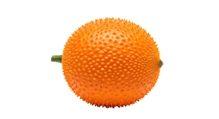 Isolated Gac Fruit Spiky Orb