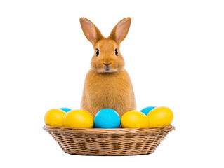 Rabbit with yellow and blue eggs in wicker basket, isolated on transparency background, symbolizing Easter celebration and springtime joy, cute and cheerful holiday scene