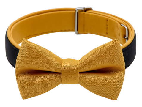 Yellow bow tie elegant accessory formal wear adjustable strap classic style men fashion isolated on white cheerful fabric texture party outfit