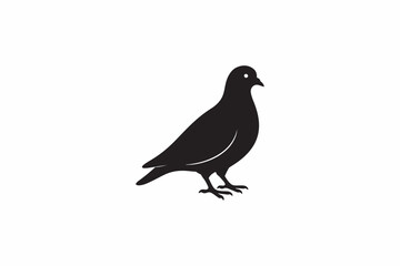 A Pigeon domestic bird vector silhouettes black image made by adobe illustrator with white color back round.. eps