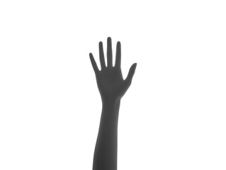 Obraz premium Raised hand open palm isolated on transparent background gesture human arm reaching asking volunteering communication expressive neutral emotion vertical orientation