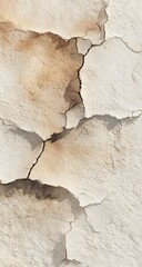 Obraz premium Cracked, weathered light beige surface
