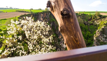 Scenic springtime vista featuring a blossoming tree overlooking a lush landscape and cliffs