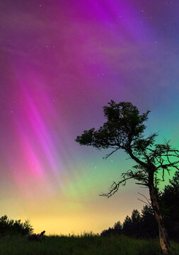 aurora borealis over de heide