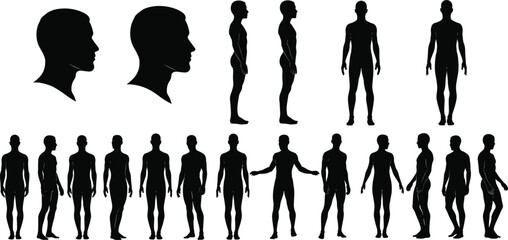 Human figure silhouette vector set showing diverse poses, head profiles, and body orientations for art, anatomy, and design references
