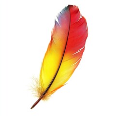 Vibrant red and yellow feather, gradient colors, isolated on white