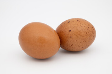 Two brown eggs on a white background.