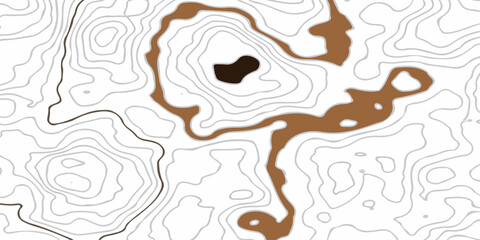 topography white background and black line wireframe isoline location diagram world map texture design.	
