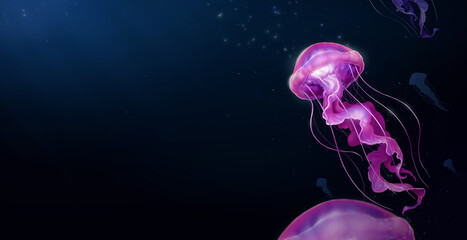 Large poisonous pink jellyfish against the background of a deep dark ocean. Realistic illustration.