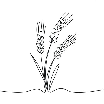 Naklejki Minimalist line art of three wheat stalks