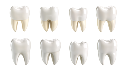 Perfect Teeth A Guide to Dental Health  Whitening