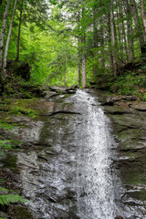Obraz premium waterfall in the forest. Ukrainian Carpathians