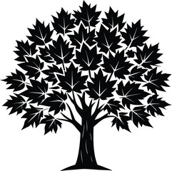 Obraz premium Maple Tree Illustration with Detailed Leaves in Black and White silhouette