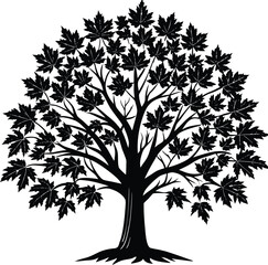 Obraz premium Maple Tree with Dense Leaves Black and White Silhouette