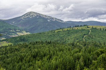 mountain landscape in the summer